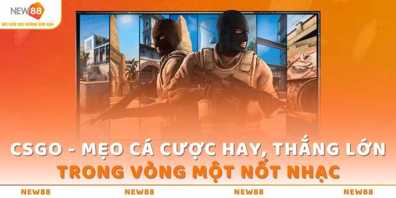 csgo meo ca cuoc hay thang lon trong vong mot not nhac